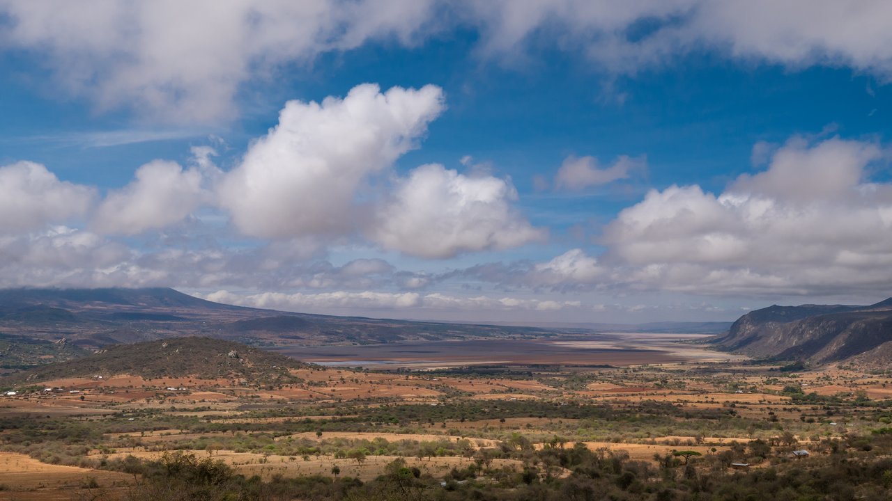 Fog nets Tanzania Fog nets Tanzania