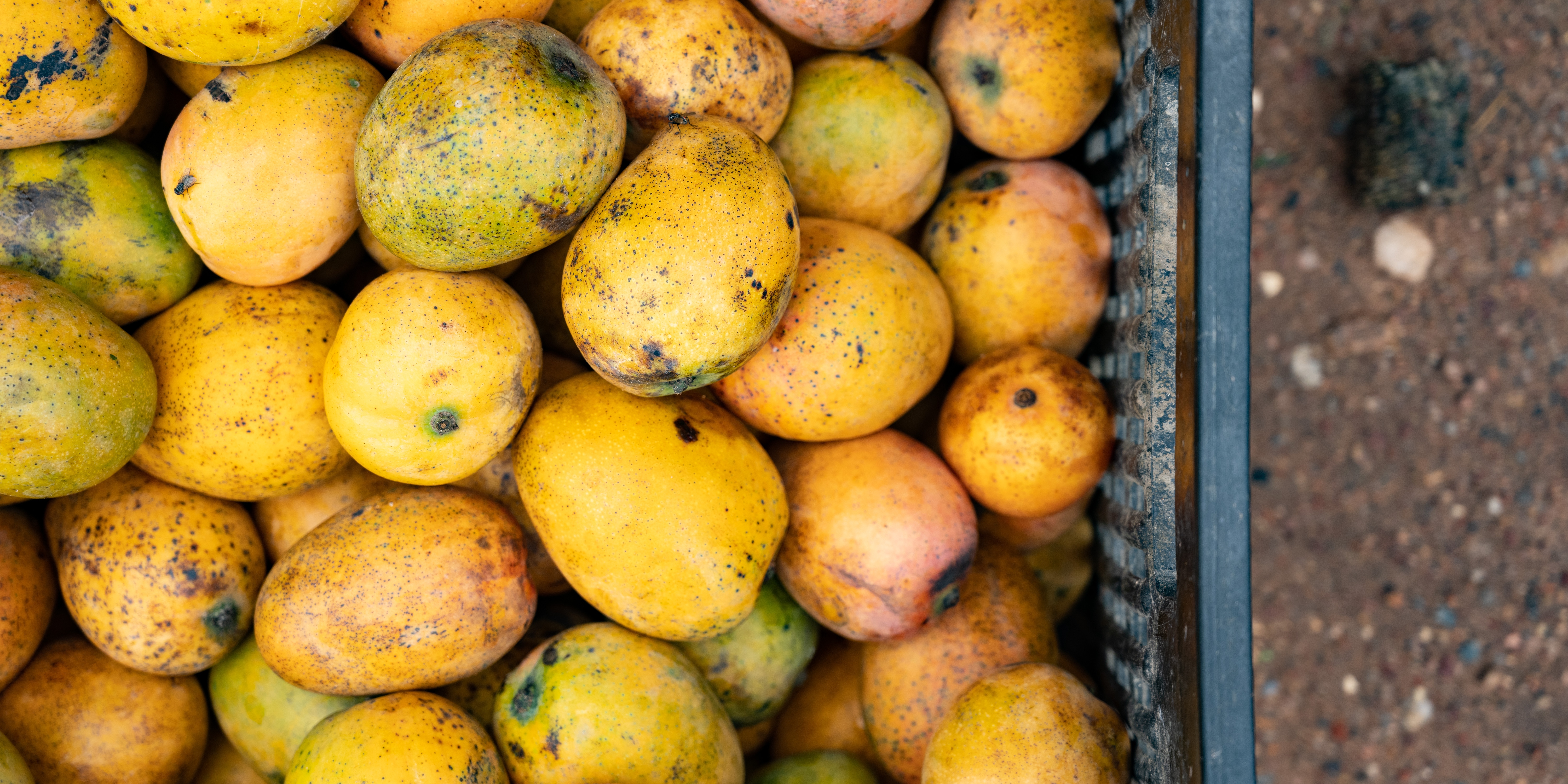 Fruit basket Fruit basket